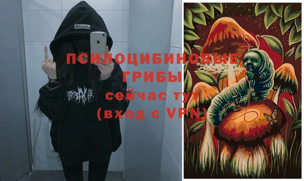 2c-b Арсеньев