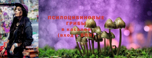 2c-b Арсеньев