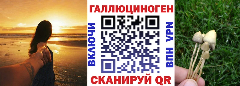 Галлюциногенные грибы GOLDEN TEACHER  купить наркоту  Кочубеевское 